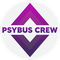 PSYBUS CREW / CREW SHIRT / SIZE S / +4,99€ Porto & PayPal Gebühren